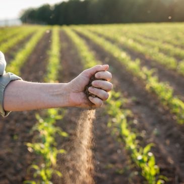 Good News for Seasonal Workers: National Living Wage to Be Reinstated